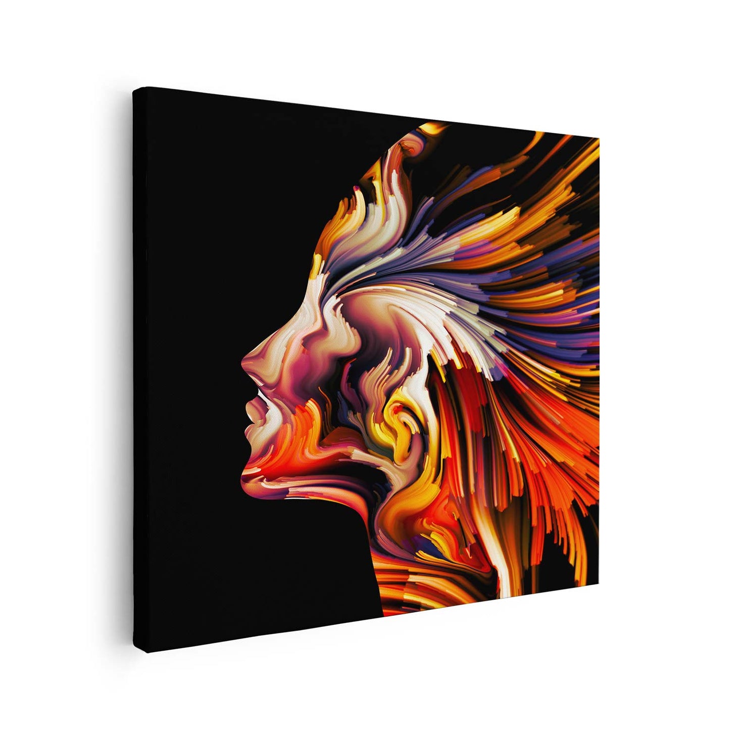 Tableau sur toile silhouette femme colorée