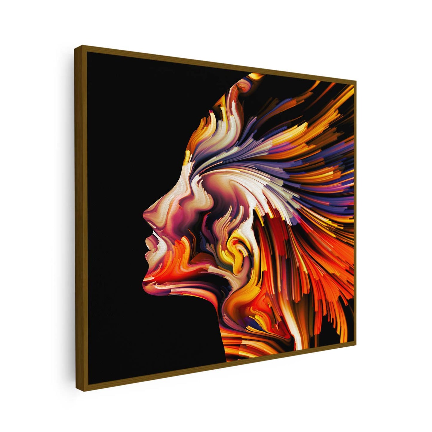 Tableau sur toile silhouette femme colorée