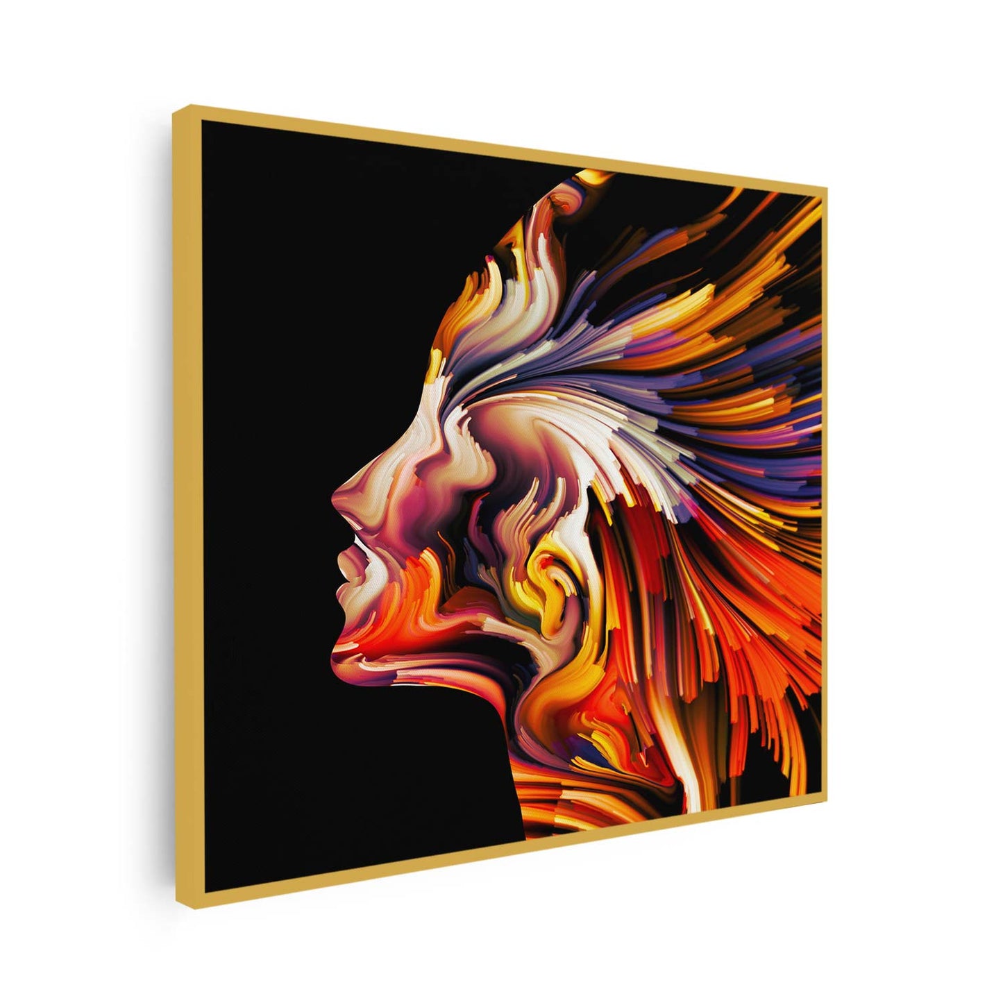 Tableau sur toile silhouette femme colorée